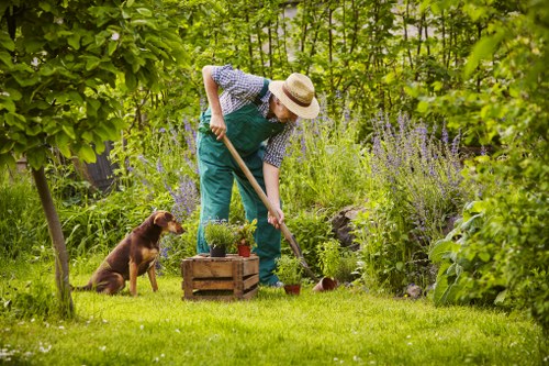Gardener inspecting a landscaped garden near waterfront buildings