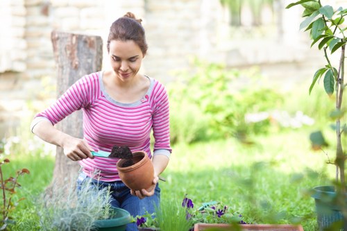 Eco-friendly hedge trimming practices by professionals