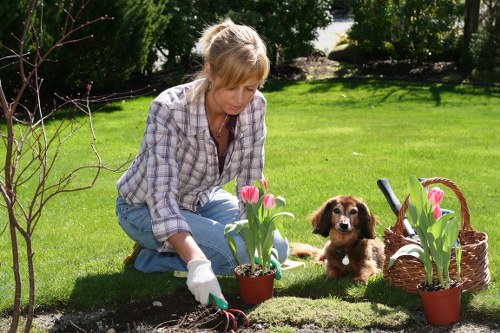 Inspector conducting an on-site supplier audit of gardening operations