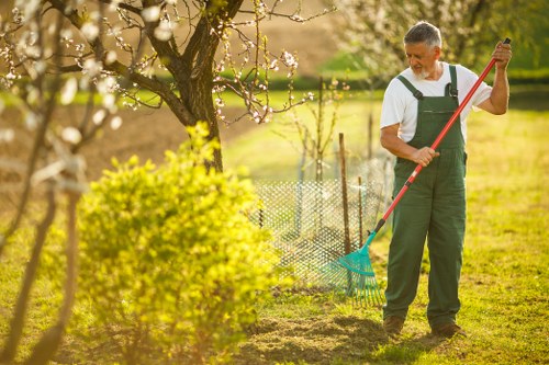 A male gardener wearing a white shirt and dark green overalls is standing in a well-maintained garden in Canary Wharf, using a rake to clear fallen leaves or debris from the soil in front of a flowering tree with pink blossoms. The garden features a neatly trimmed lawn, a border of shrubs and bushes, and a small metal fence visible behind the gardener. The sunlight suggests a bright, clear day, and the scene reflects outdoor maintenance activities typical of residential or commercial garden care. The gardener’s work aligns with services offered by Gardening Services Canary Wharf to maintain lush, tidy outdoor spaces in the local area.